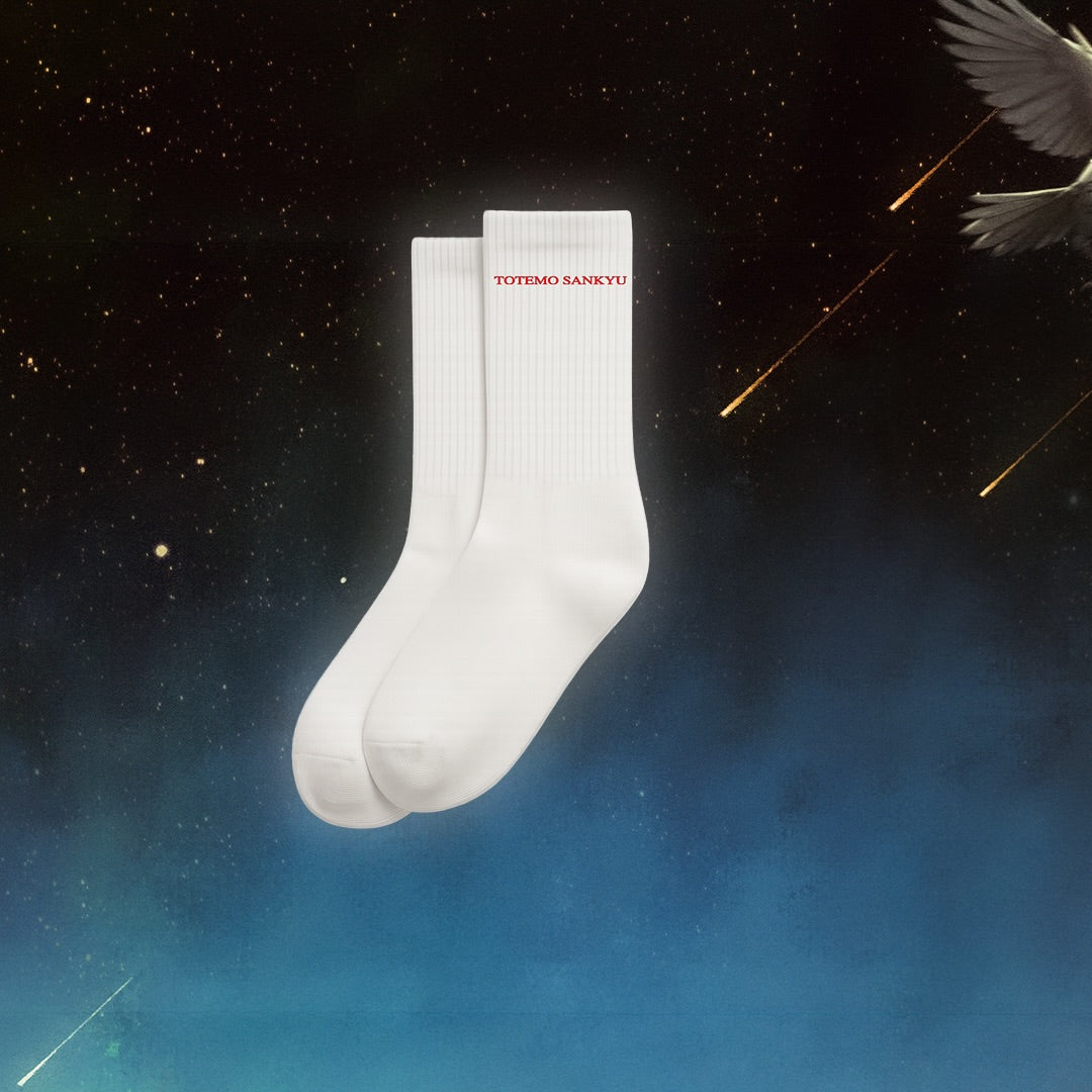 TOTEMO SANKYU SOCKS